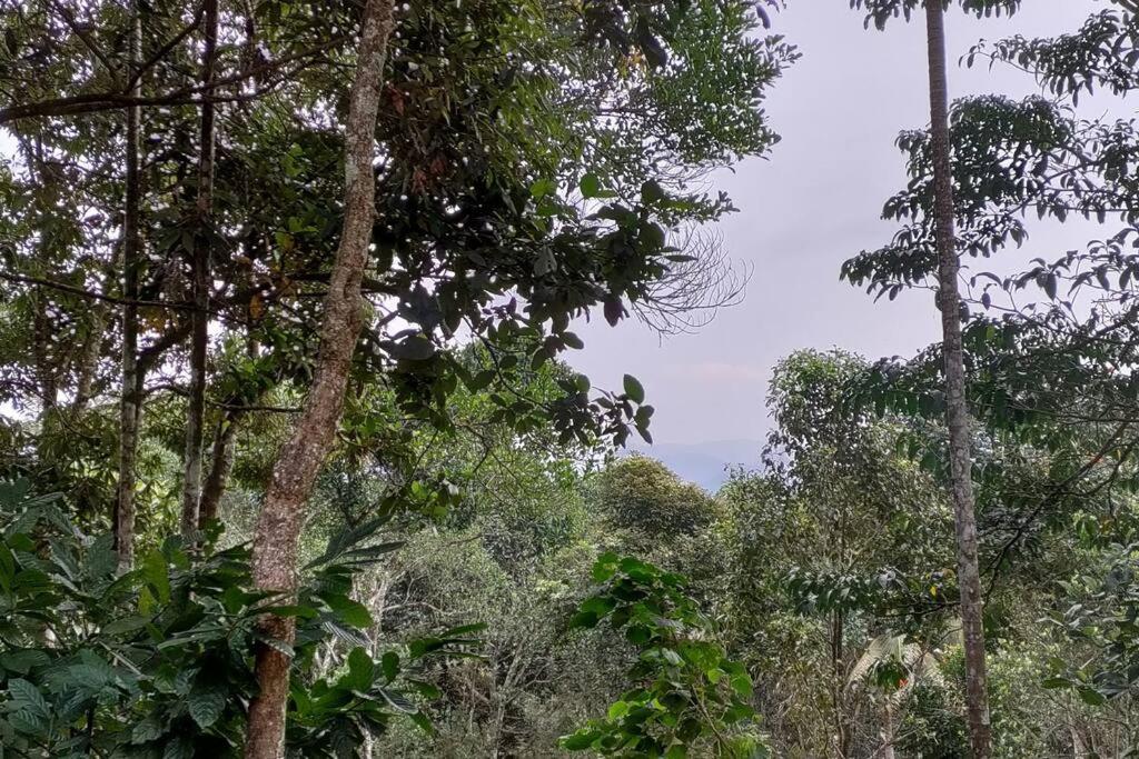 Coffee Camp Home Stay With Tree House Kattappana Exteriör bild