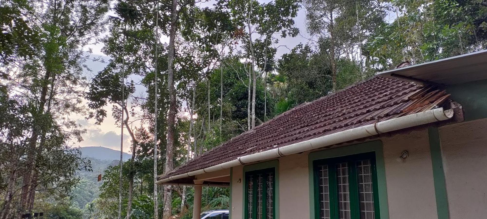 Coffee Camp Home Stay With Tree House Kattappana Exteriör bild