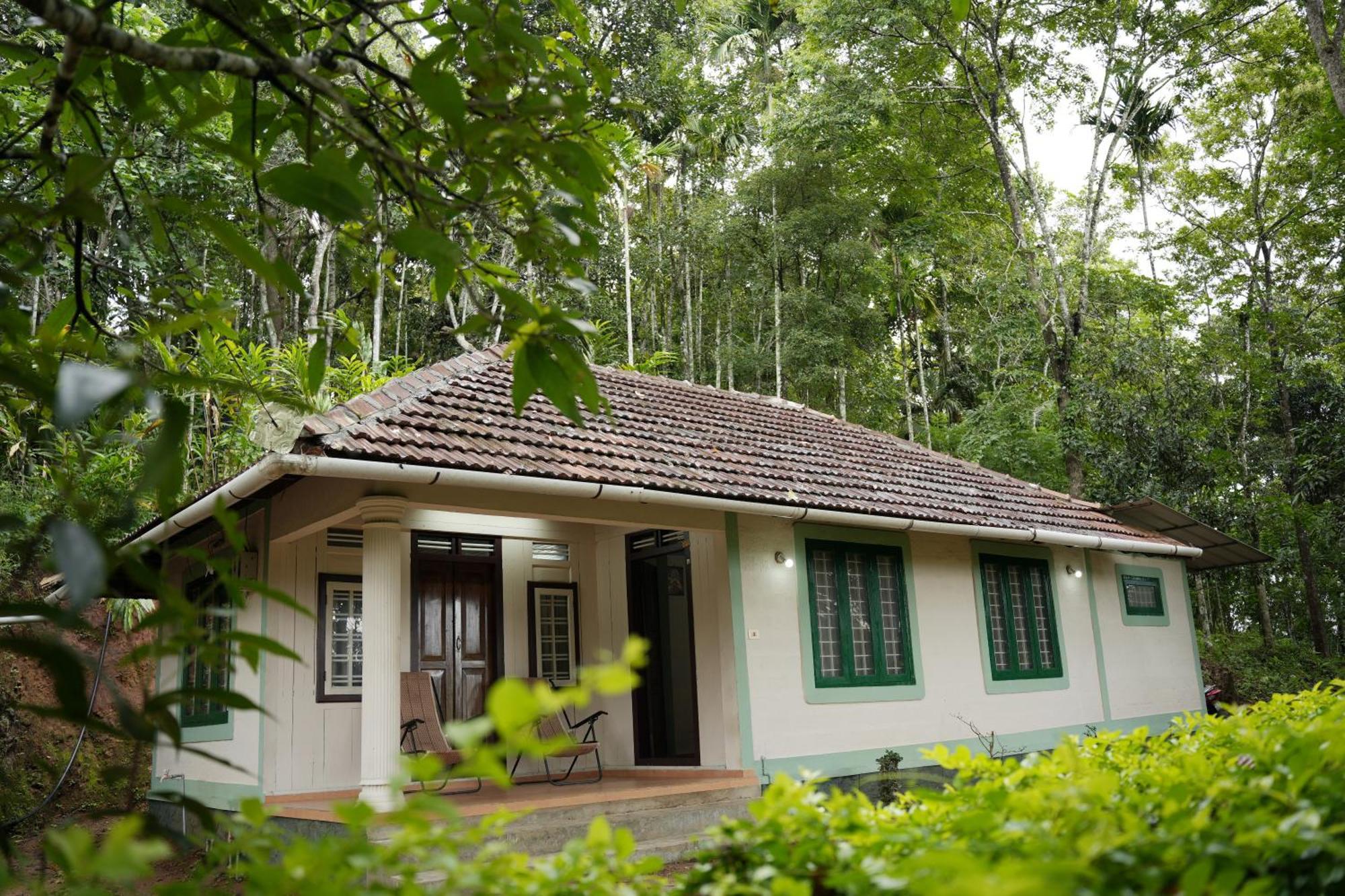 Coffee Camp Home Stay With Tree House Kattappana Exteriör bild