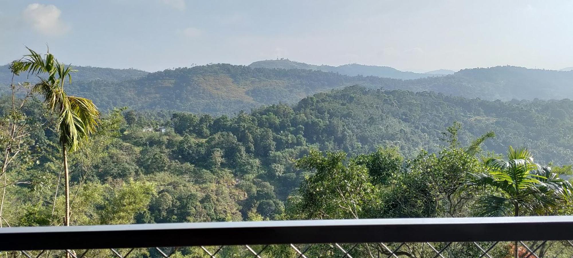 Coffee Camp Home Stay With Tree House Kattappana Exteriör bild